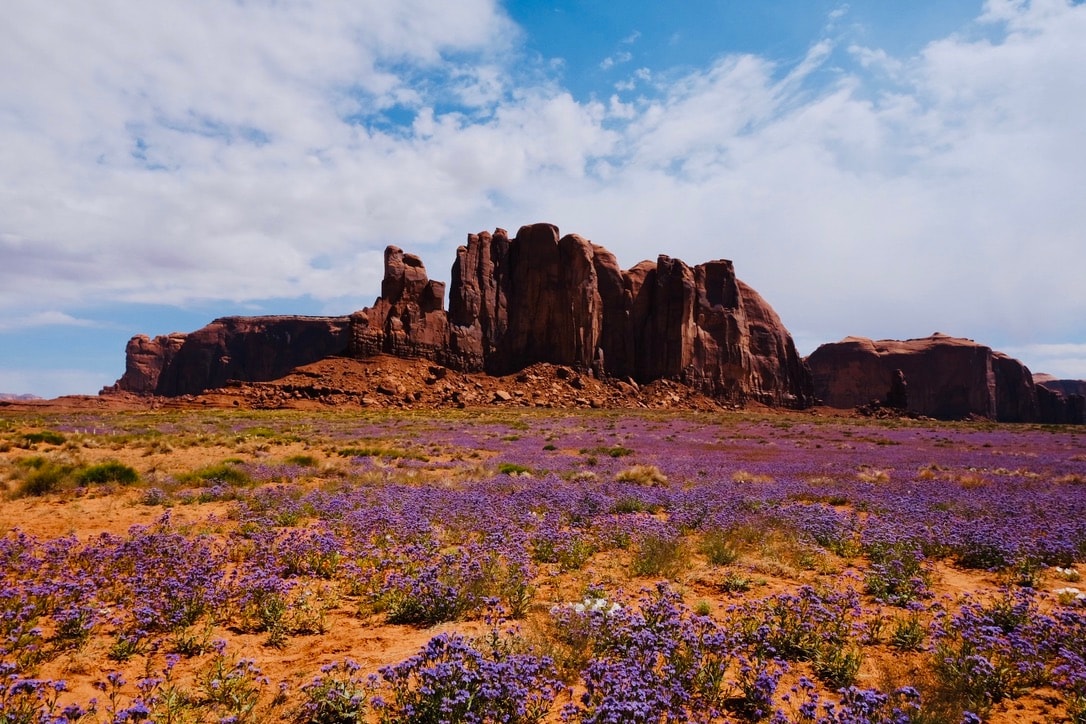 Graphic depicting a color palette of Stone Brown, Dark Navy, Beige, and Cream White along with corresponding hex color codes.
